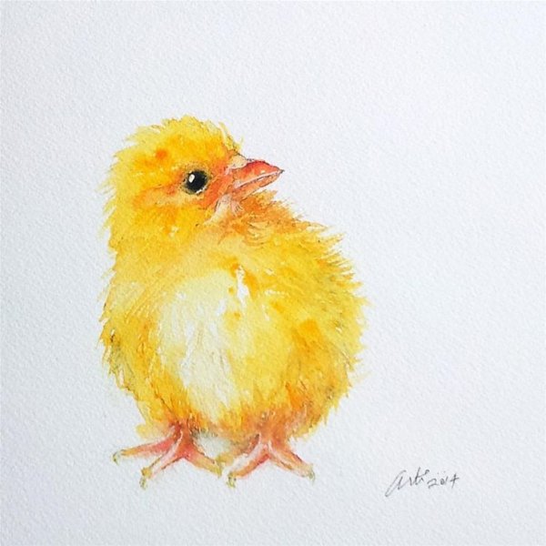 Цыпленок акварелью