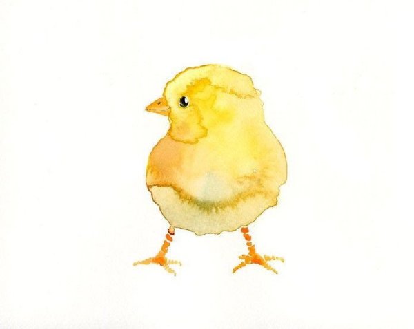 Акварельные цыпленок для детей