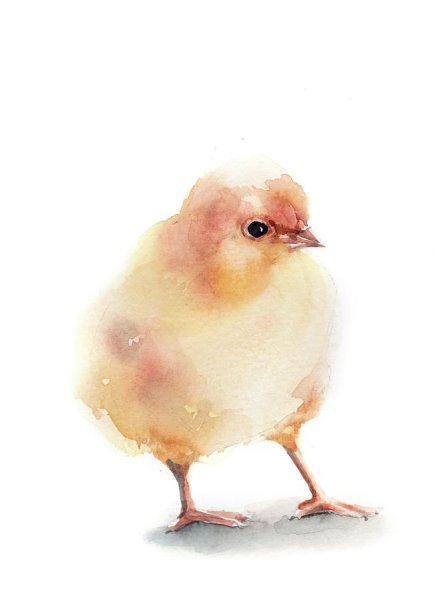 Птички акварелью художник Maria Stezhko