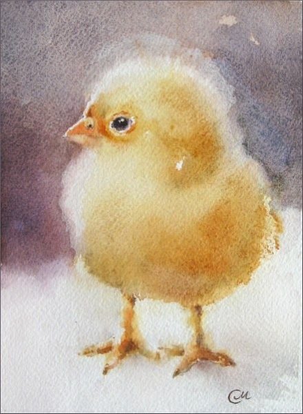 Цыплятки акварель