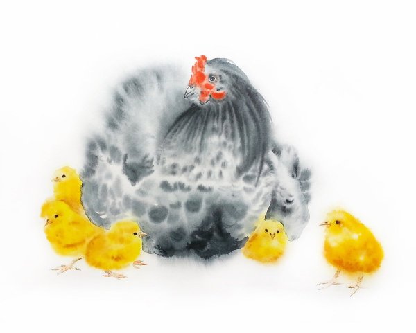 Цыплята живопись