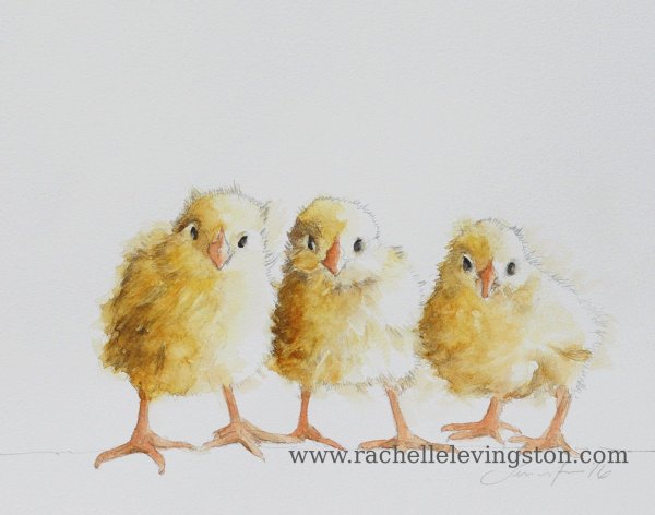 Милый цыпленок мультяшка