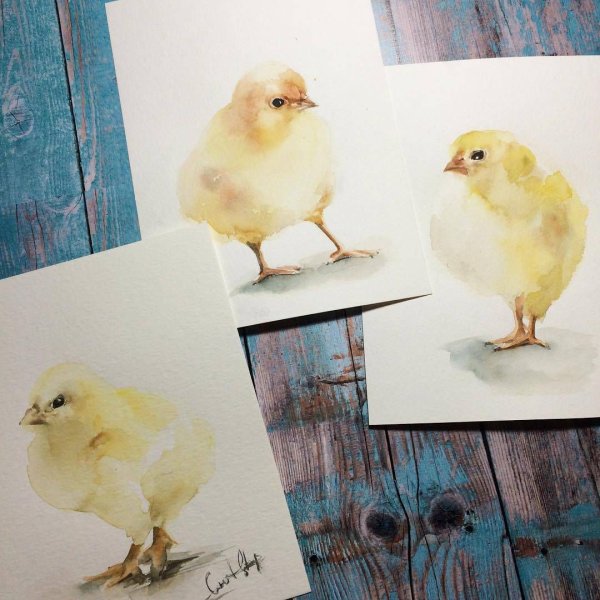 Цыпленок картина