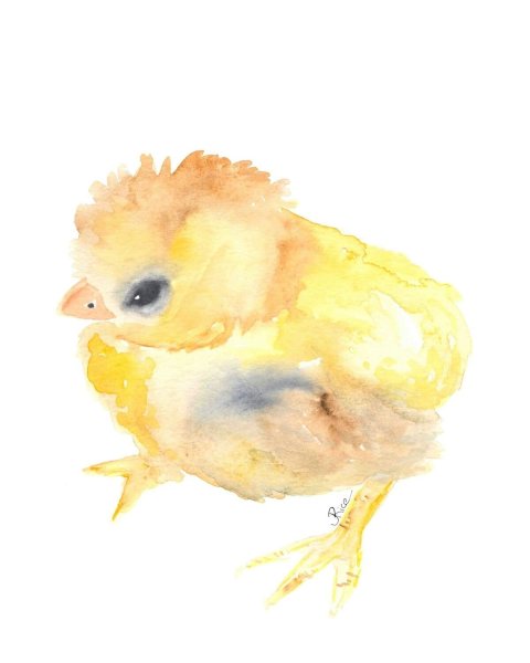 Цыплята акварелью для детей