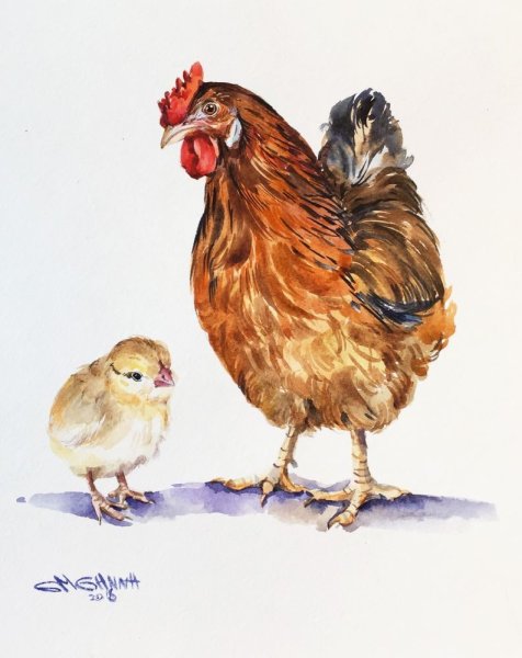 Цыпленок гуашью