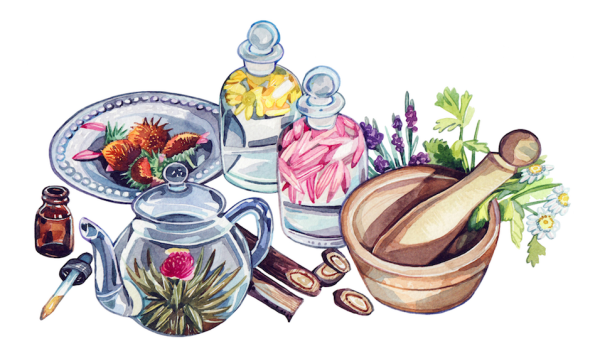 Кухонные приборы акварель