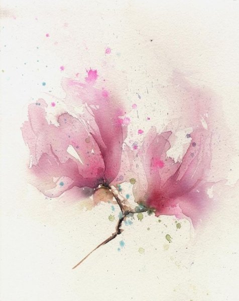 Нежные цветы акварель