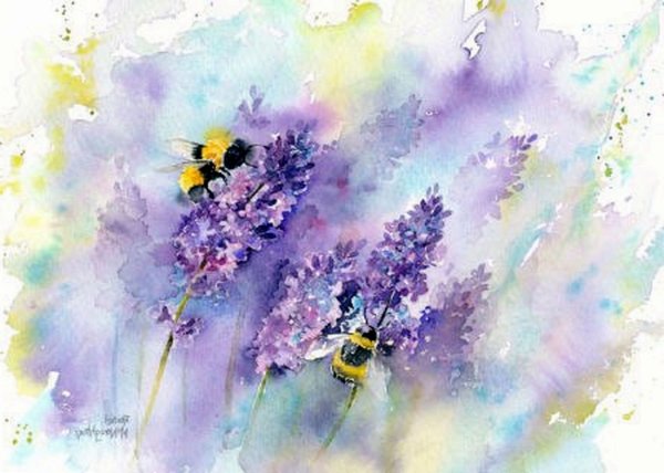 Нежная акварель Rachel MCNAUGHTON