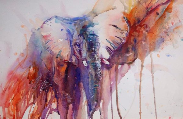 Акварели художника Jean haines