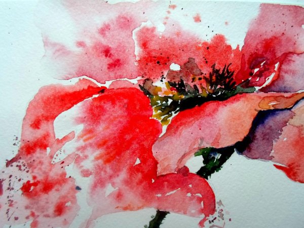 Акварель по мокрому