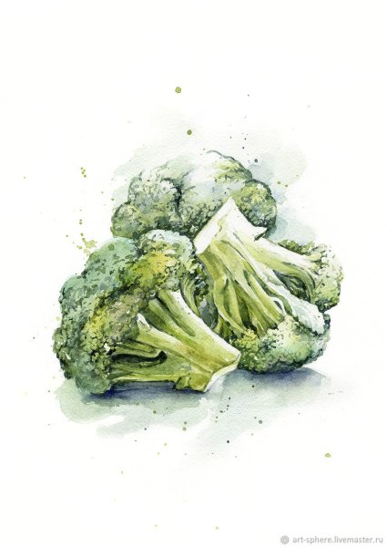 Брокколи акварелью