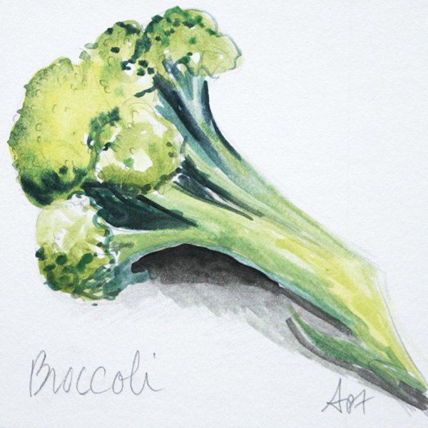 Брокколи акварелью