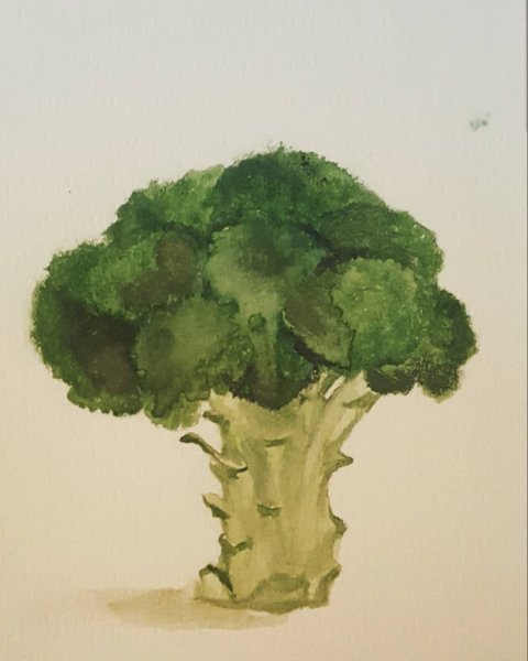 Овощи акварелью брокколи