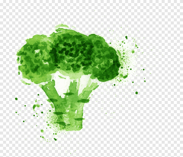 Брокколи стилизация