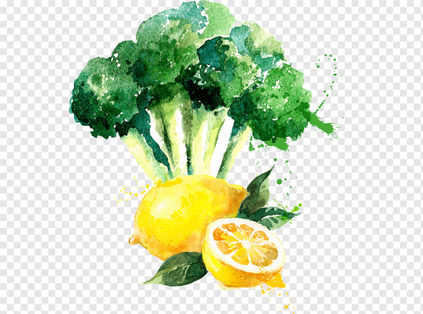 Акварельные овощи на прозрачном фоне