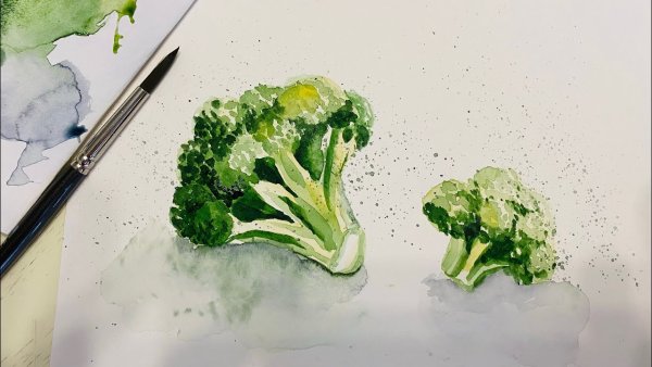 Брокколи акварелью
