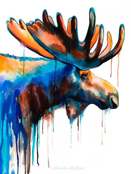 Лось акварелью