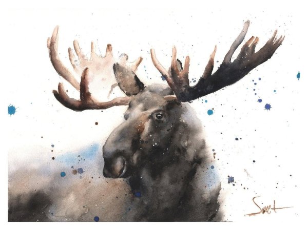 Лось красками