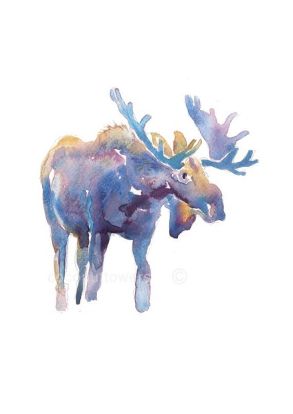 Лосенок Акварельная иллюстрация