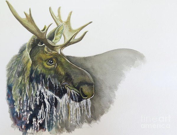 Лось акварелью