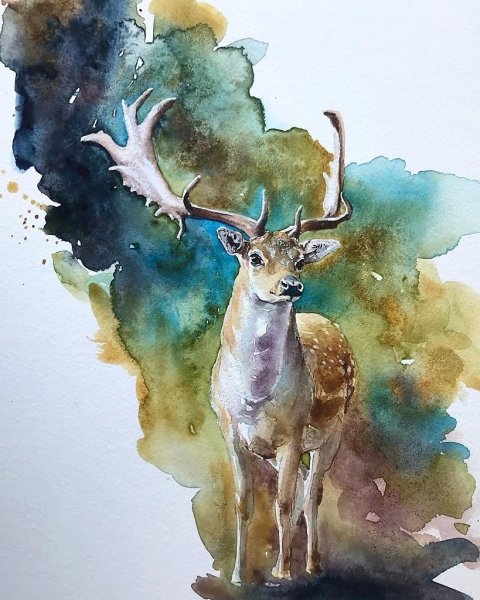 Лось милые иллюстрации