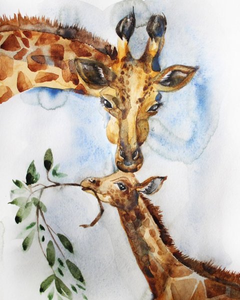 Жираф акварелью для детей