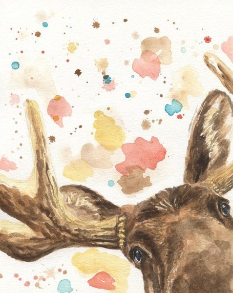 Ольга Пешкова Пермь художник