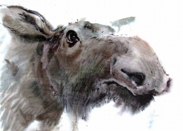 Абстрактная живопись Лось