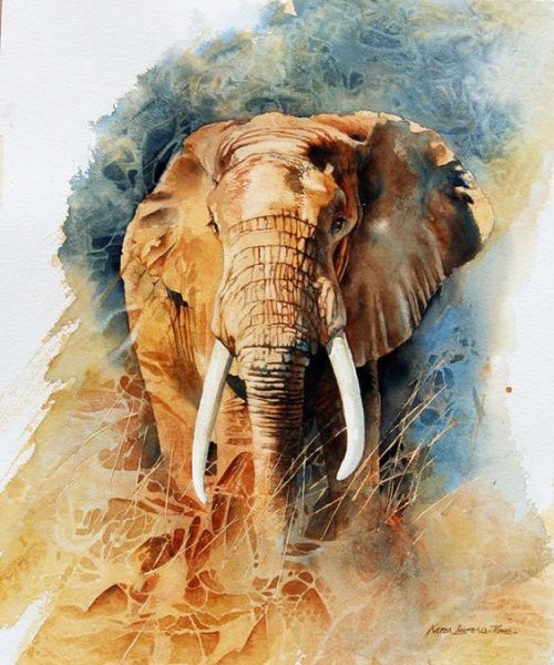 Karen Laurence-Rowe . Акварель