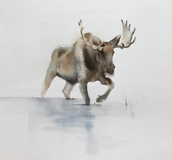 Лось красками