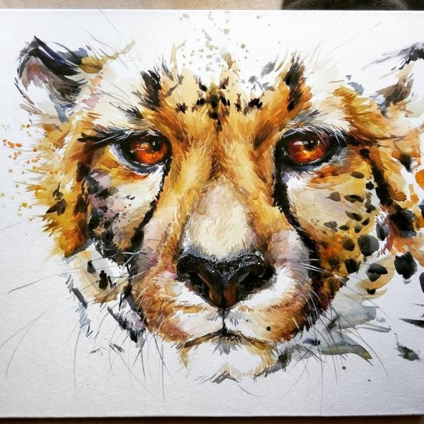 Фаенкова Елена художник