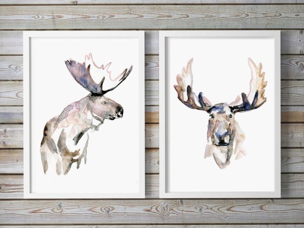 Лось акварельный рисунок