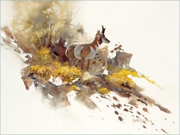 Художник Мортен Солберг