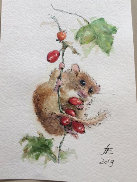 Акварельные иллюстрацииммышка