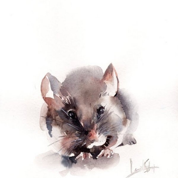 Крыса акварелью
