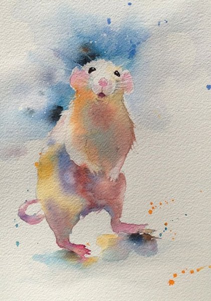 Крыса акварелью