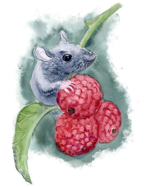 Акварельный мышонок