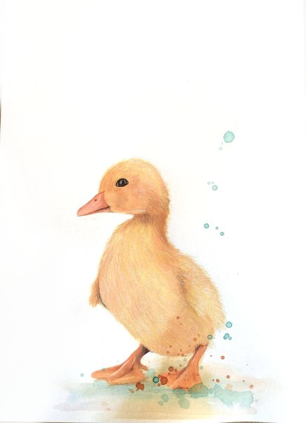 Утята акварелью