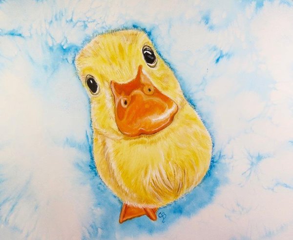 Уточка акварелью