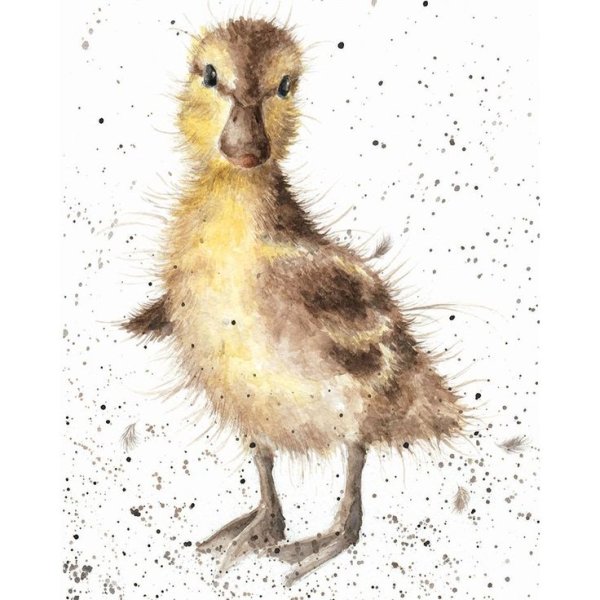 Ханна Дейл иллюстрации