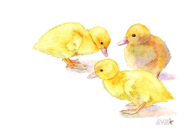 Утята акварелью