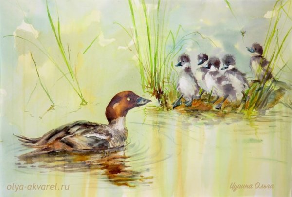 Утка с утятами акварель