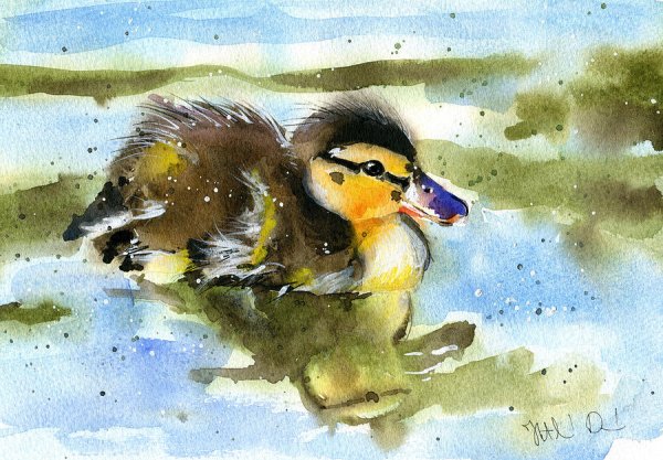 Утка с утятами акварель