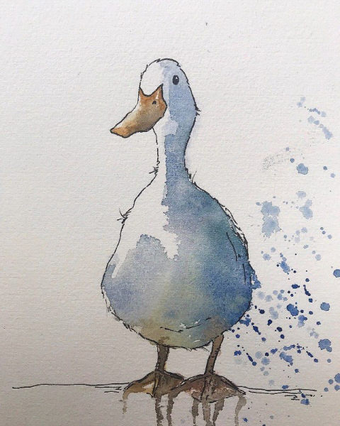 Утка нарисованная акварелью