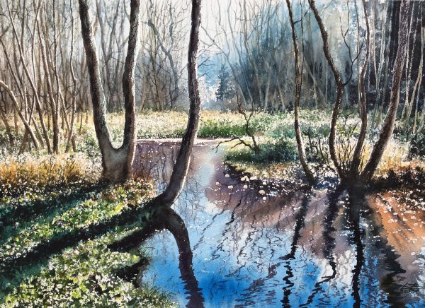 Дубовой художник акварелист