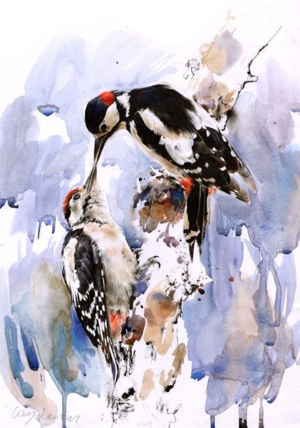 Дятел гуашью