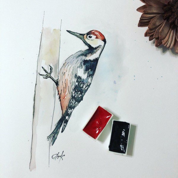 Дятел живопись