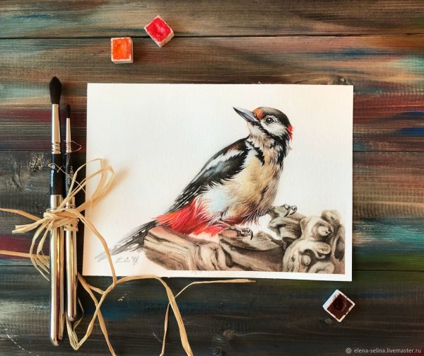 Виктория Кирдий птицы