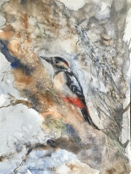 Дятел акварелью