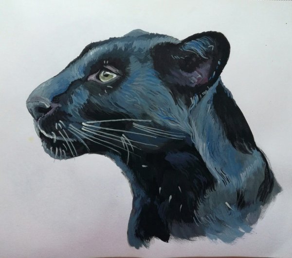 Черная пантера акварель
